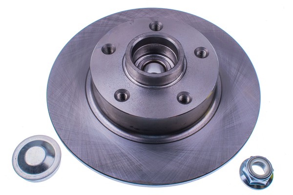 2X Bremsscheibe Ø260Mm Hinten Voll FüR Renault Megane III SchräGheck 1.4 B130743-image