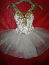 Revolution "A Secret Revealed" Ballet/Dance Costume - Size Small Child SC #21547