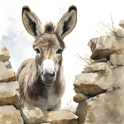 Deko Bild Neugieriger Esel Steinmauer Wandbild Tiere Dekofliese Mitbringsel - Bild 1 von 1