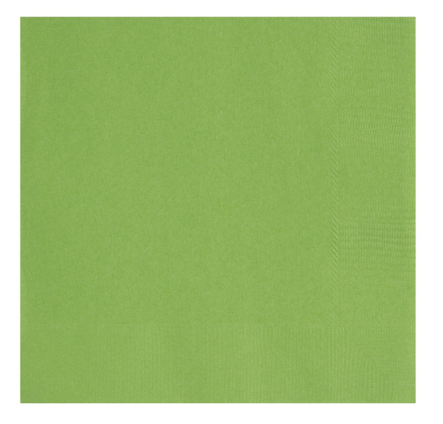Green Paper Napkins Birthday Party BBQ Summer Garden Parties Celebration 20 Pk