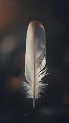 White Feather Texture Minimal Calm Wallpaper Soft Aesthetic Phone Background