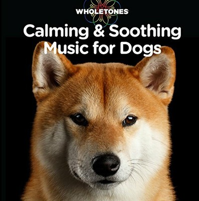 dog calming music cd