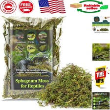 Eco-Friendly Sphagnum Moss - Ultimate Terrarium Bedding for Reptiles 6.3 oz