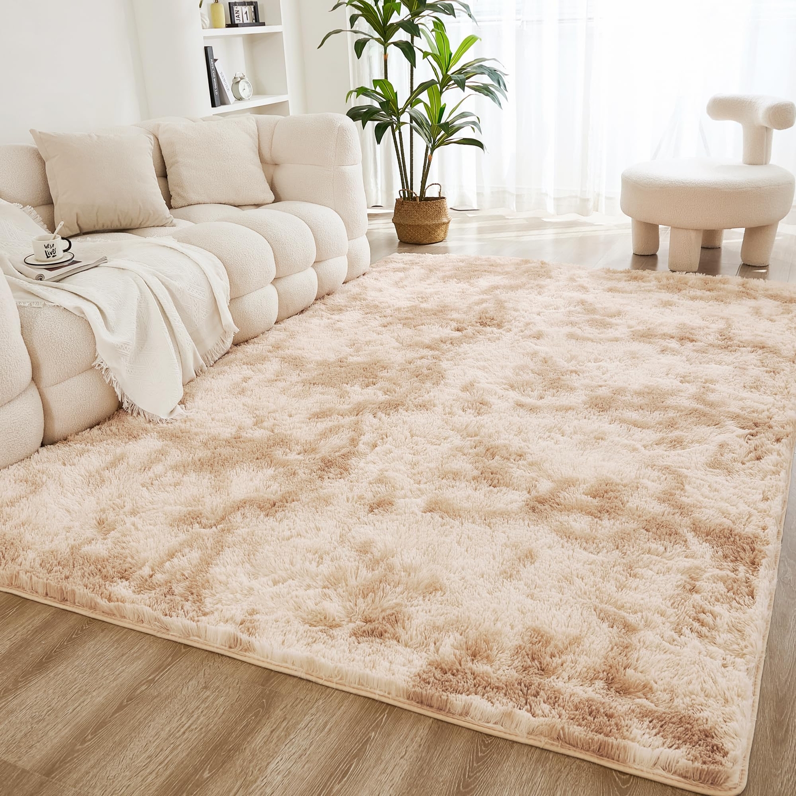 Litanika 4x6 Shag Area Rug for Living Room Bedroom, Tie-Dyed Beige Fluffy Sha...