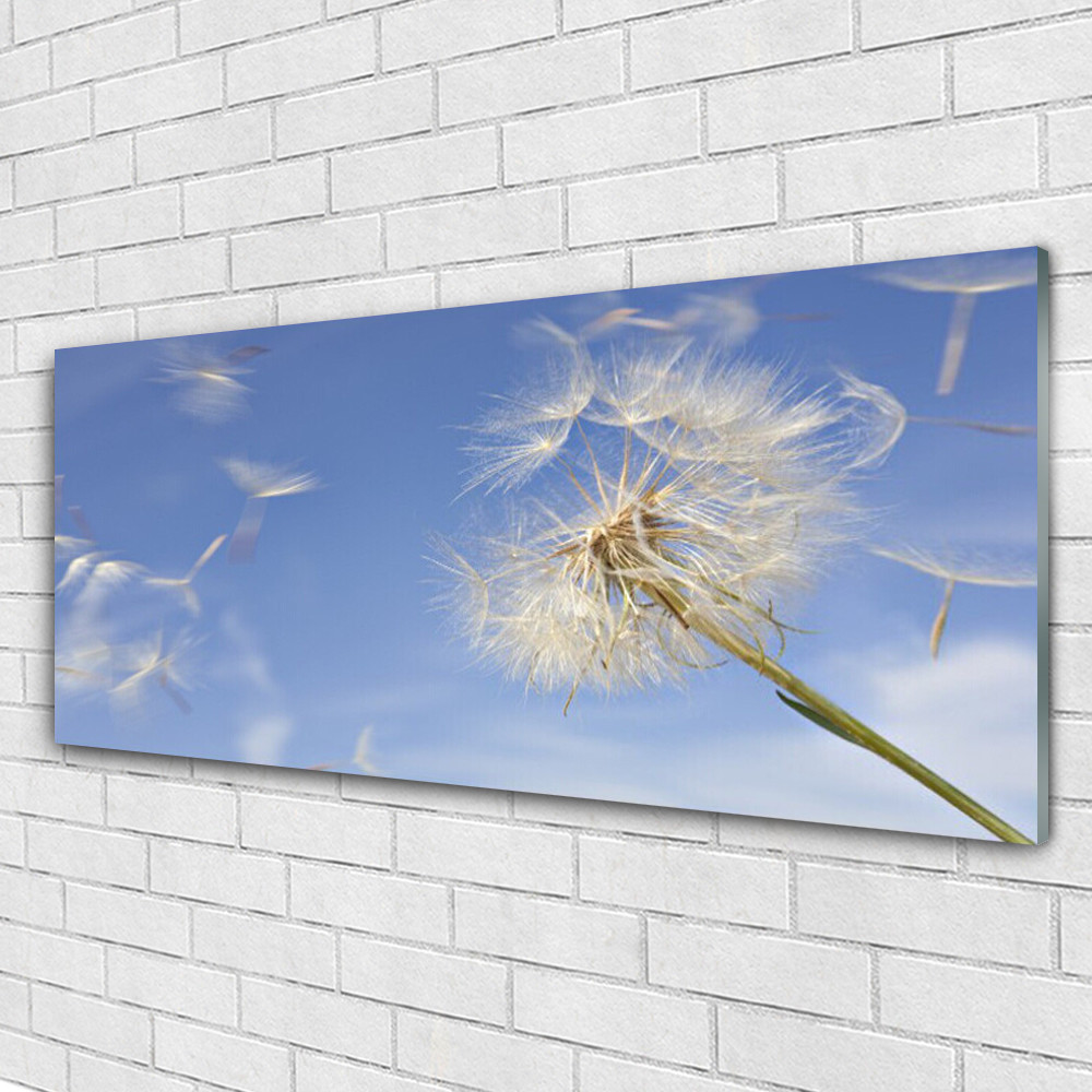 Image plexiglas de qualite premium pissenlit floral deco 125x50 cm