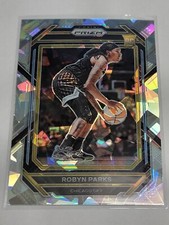 2023 Panini Prizm WNBA Robyn Parks Silver Cracked Ice Prizm Rookie Sky