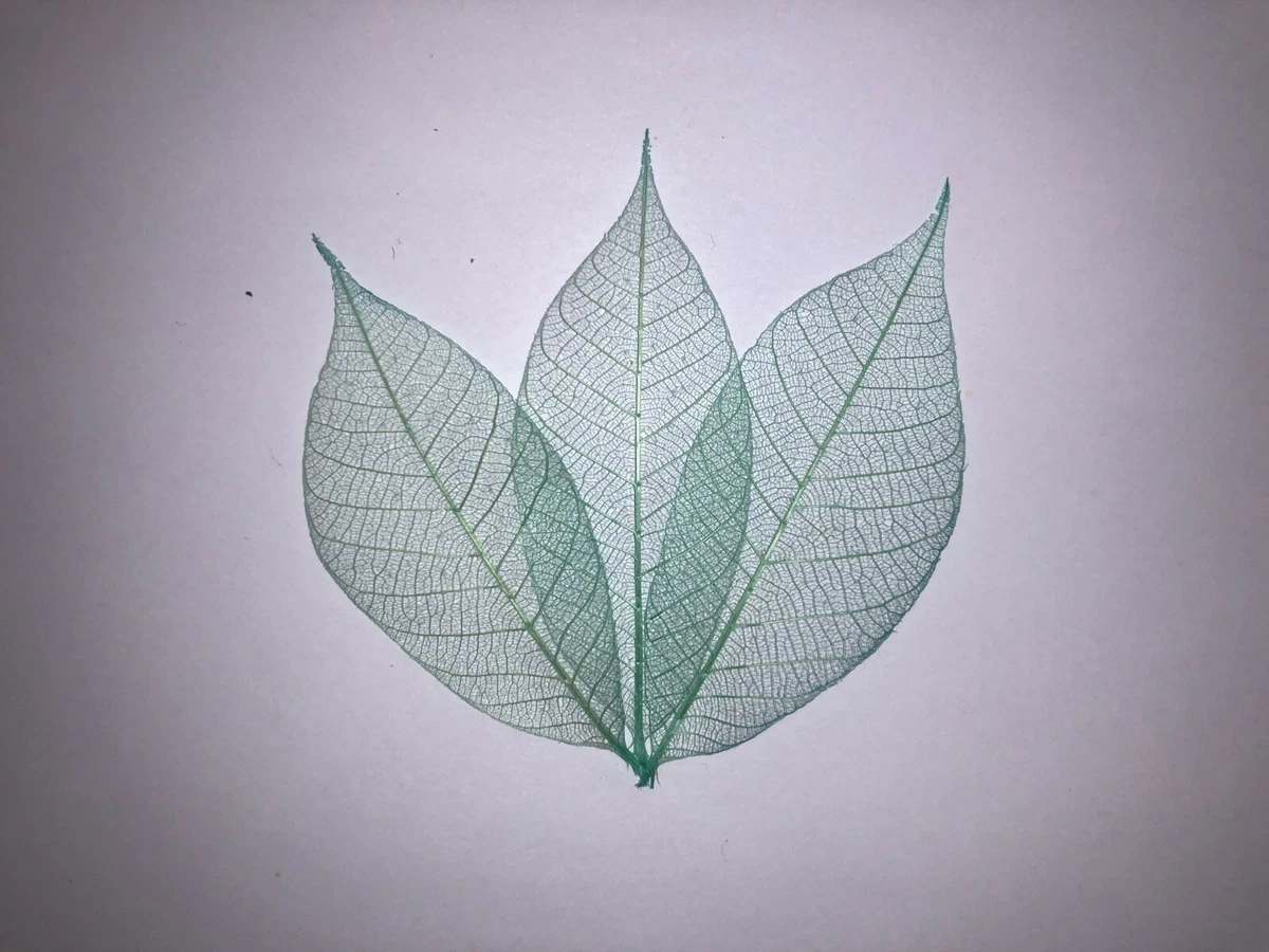 Impex creative crafts hotsell