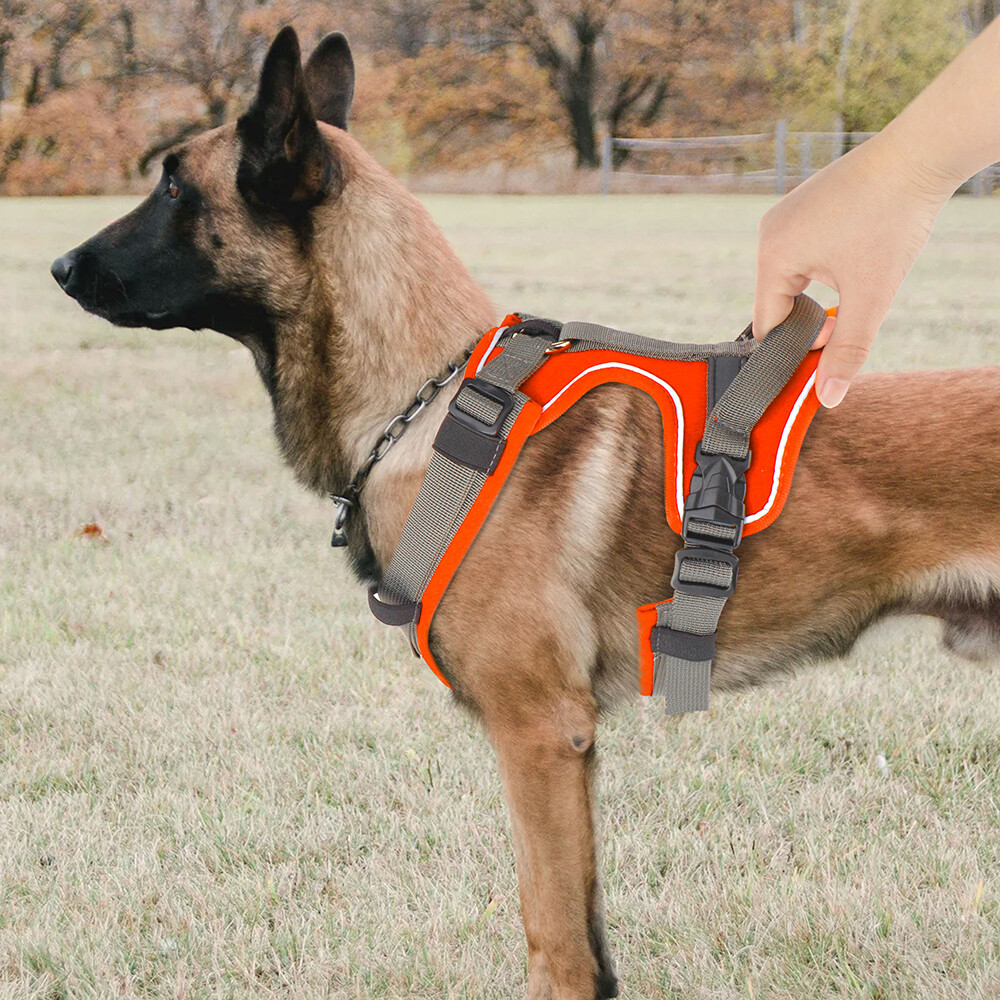 Hundegeschirr Kleine Hunde ThinkPet Anti Zug Hundegeschirr, Hundegeschirr Mit Griff Leicht Zu Curli Hundegeschirr