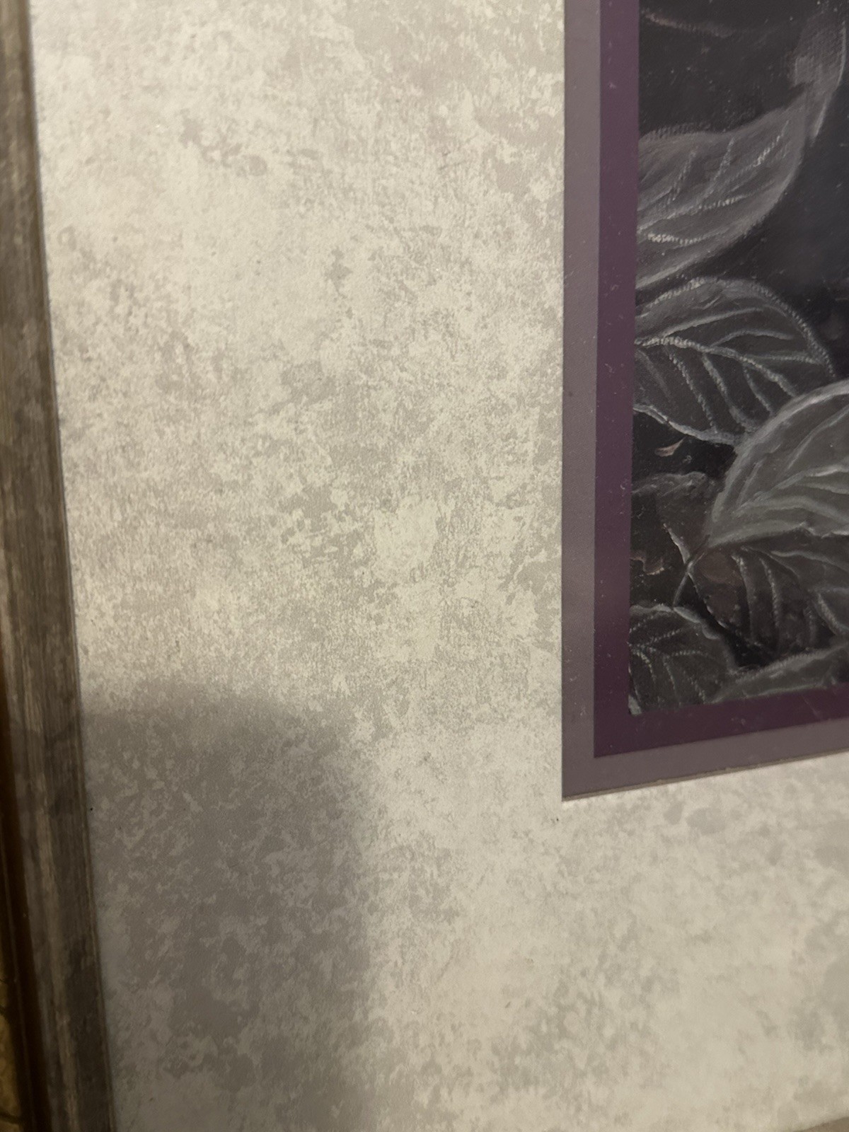Picture 3 of 6