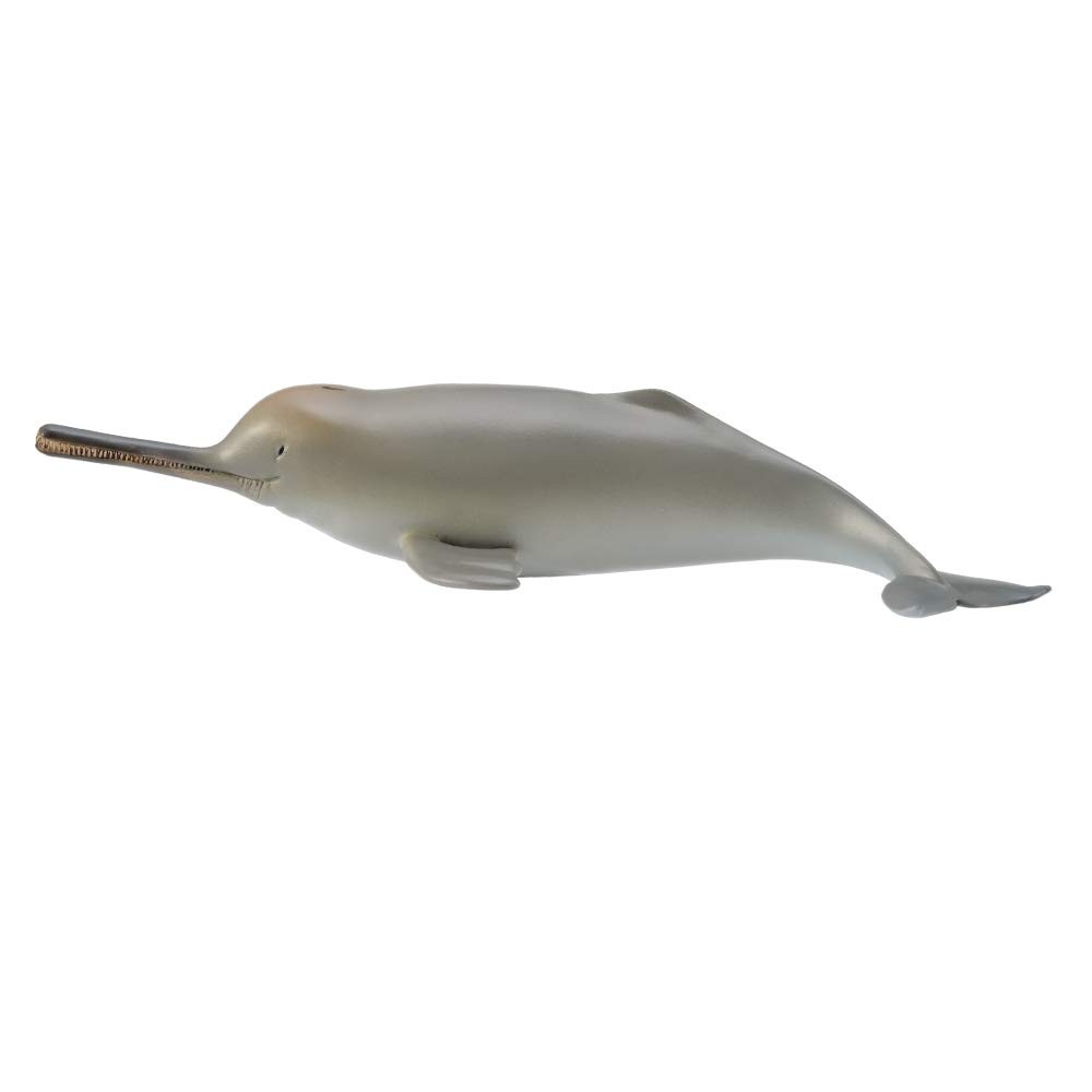 COLLECTA Ganges River Dolphin Sea Life Marine Animal Figure 88611