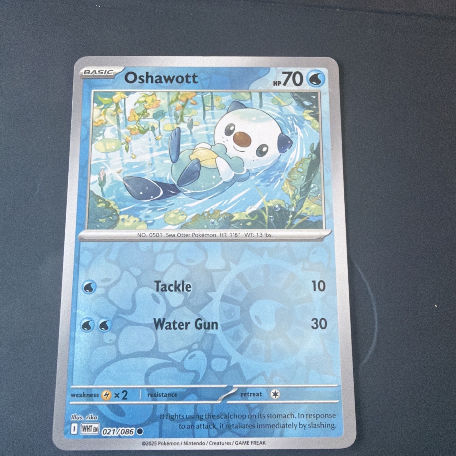 oshawott 21/25 holo