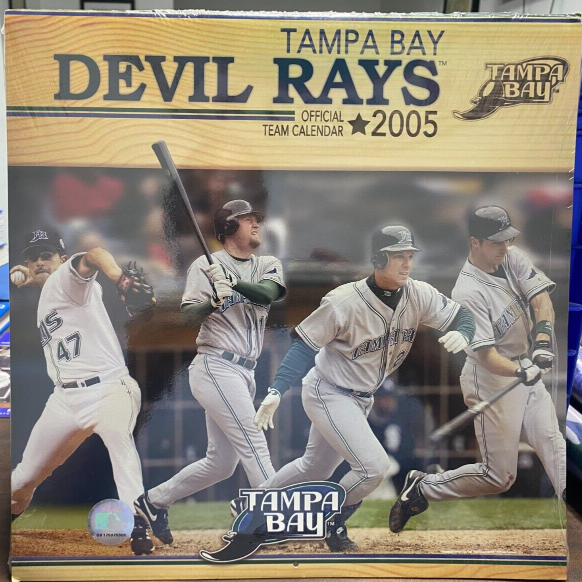TAMPA BAY DEVIL RAYS, 2005, Team Calendar, MLB, 12 x 12", NEW, Factory