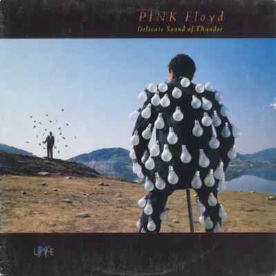 Pink Floyd Delicate Sound Of Thunder EMI 2xVinyl LP