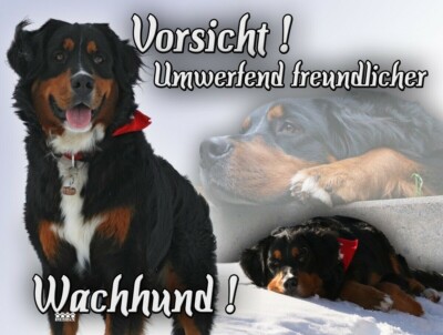 BERNER SENNENHUND Metallschild SCHILD Warnschild Alu-Dibond Hundeschild NEU #7