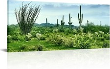 20"X48" Wood Canvas Fochorlo Green Cactus Wall Decor Arizona Art