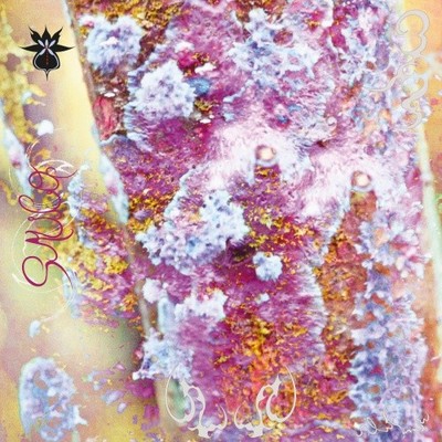 QOA Sauco LP NEW VINYL Leaving 