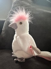 Ty Beanie Babies Kuku Cockatoo Bird - White. Mint condition. Rare.