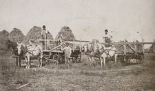 Getting Up Hay Horse Drawn Hay Wagons Mitchell SD  Photo on Board 5.x7"