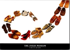 The Field Museum Chicago Living Together exhibit Shoes Continental Postcard CB6