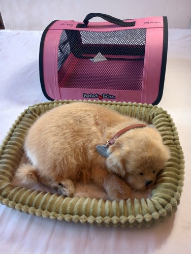 Peluche Vivante qui respire Chien de Race Golden Retriever Perfect Petzzz