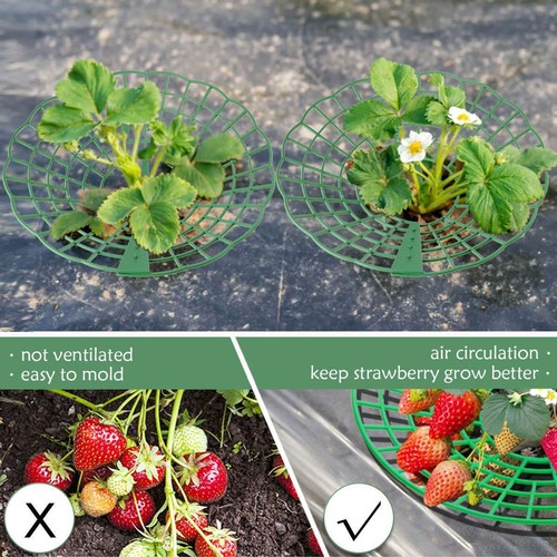 Strawberry Stand Frame Holder Balcony Planting Rack- (5 PCS)Fruit Support Stand - Picture 7 of 12