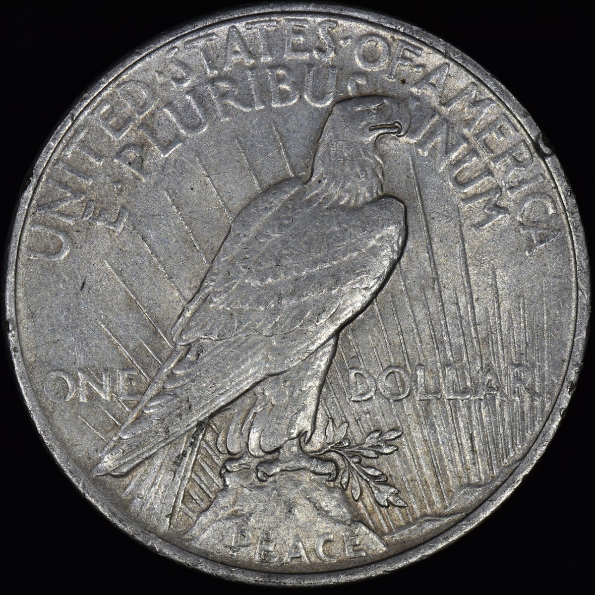 1924 PEACE DOLLAR ✪ HUGE LAMINATION PEEL ✪ SILVER COIN ERROR AU