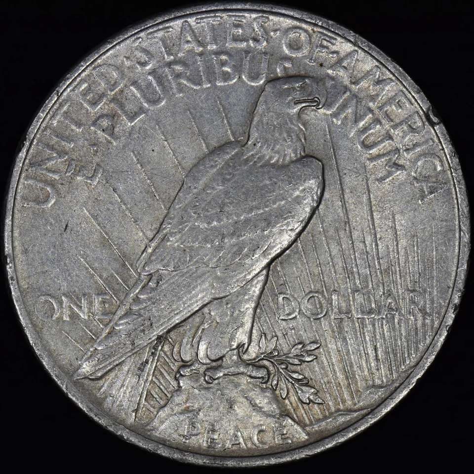 1924 DÓLAR DA PAZ ✪ ENORME CASCA DE LAMINAÇÃO ✪ ERRO DE MOEDA DE PRATA AU ◢CONFIÁVEL◣ - Imagem 2 de 2