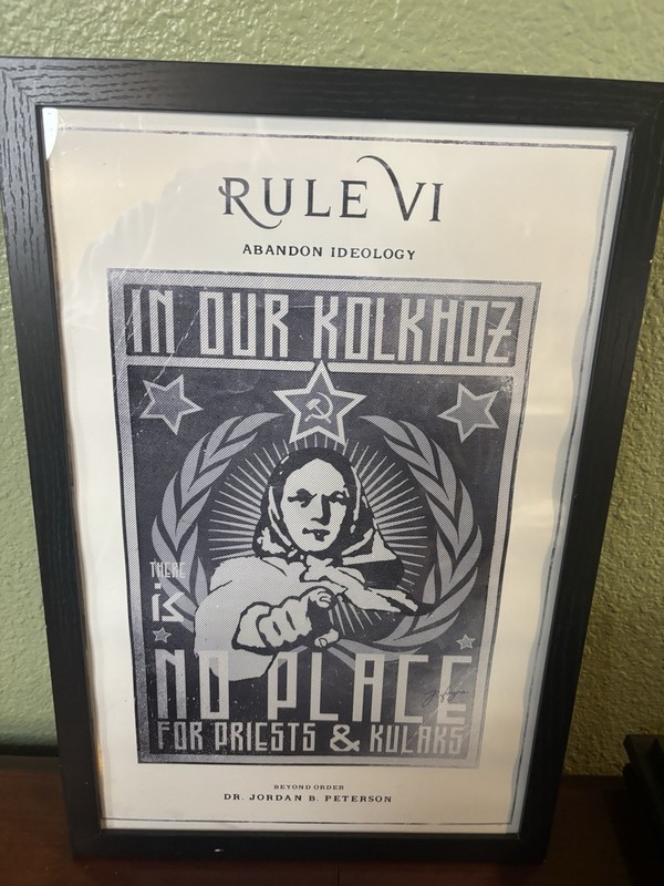 Jordan B Peterson 12 Rules of Life Framed poster Rule 6