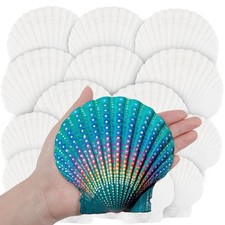 18PCS White Large Scallop Purely Natural Seashells 4-5in and Medium Shells 2-...