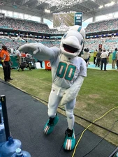 Miami Dolphins vs Cincinnati Bengals Dec 21st - SW Sideline Passes !!