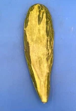 3 Variegated Opuntia Cochenillifera Cactus Pads Great for Tortoises and Turtles!