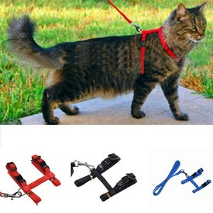 outdoor cat leash
