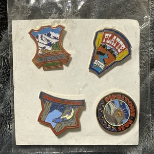 NEW Set Of 4 Vintage Montana Souvenir Pins Platte Riv. Sliderock Flint Pipestone