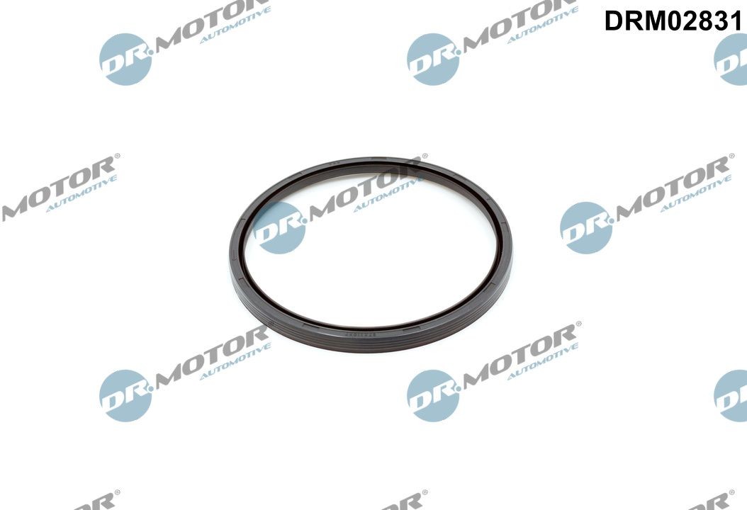 DRM02831 Dr.Motor Automotive Shaft Seal, camshaft for ,VOLVO