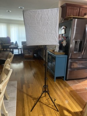 RALENO 16x16'' Softbox Photography Lighting Kit,50 W Pack Of 1 With Carrying Bag