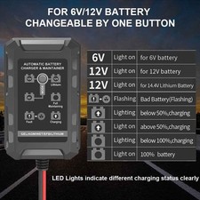 6V 10Ah Lithium Iron Phosphate Battery Charger 12V LiFePO4 Charger Brand New