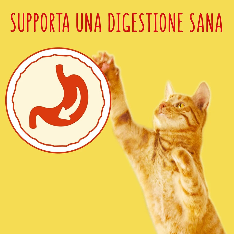 CROQUETTES CHAT FRISKIES NOURRITURE POUR CHAT ADULTE POULET et DINDE PURINA 2Kg - Photo 4/4