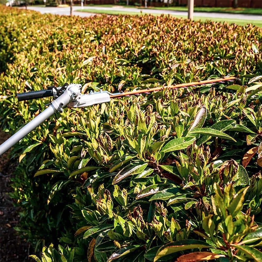 Sunseeker Dual Action Hedge Trimmer Attachment Blade (Fits Universal System)