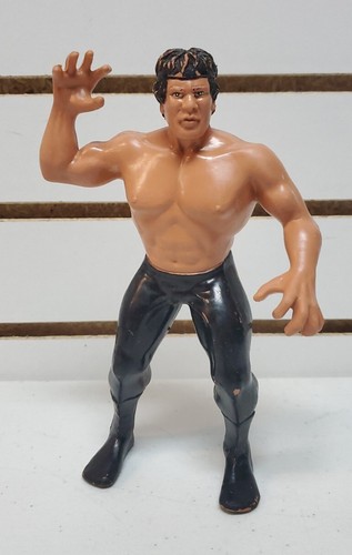 1986 LJN Titan WWF Wrestling Superstars: Ricky The...
