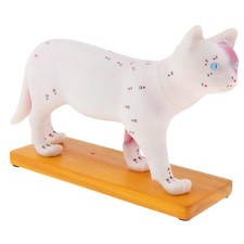 1:1 Cat Acupuncture  Model With 36 Acupunctur...