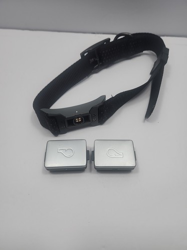 Whistle Switch GPS+Health+Fitness Smart Dog 1 Collar, GPS Tracker (L/XL)