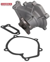 Kamoka T0210 Wasserpumpe Wapu FüR Nissan