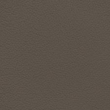 Mercedes Dark Stein Leather Dye
