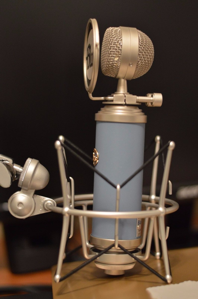 Blue Microphones Bluebird Condenser Cable Professional Blue Microphones Bluebird Condenser Cable Professional