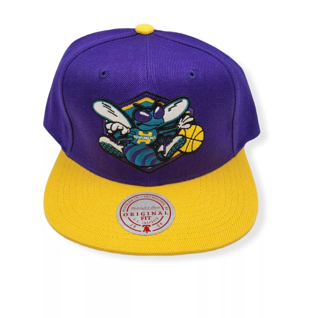 Mitchell & Ness Charlotte Hornets NBA Core Basic
