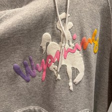 Vintage 80s 90s Hanes Wyoming Puff Print Hoodie Made in USA Grey Large