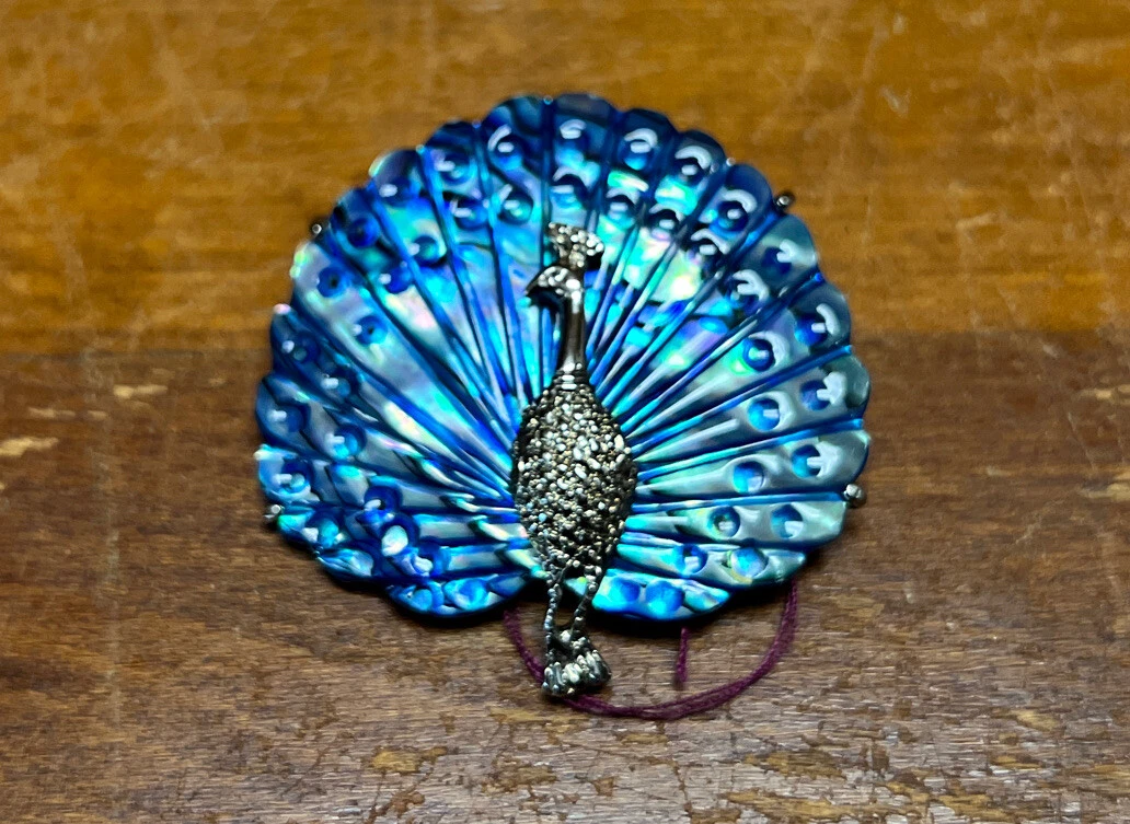 Paua shell hotsell brooch
