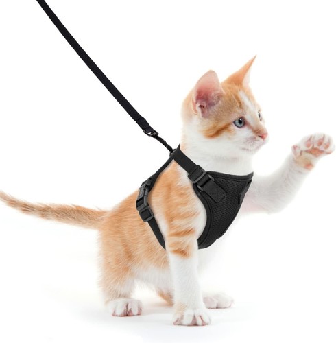 NOBLEZA CAT REFLECTIVE HARNESS BLACK Size M#2