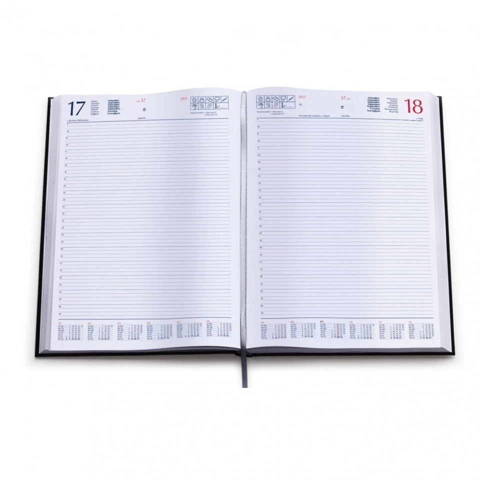 Agenda Giornaliera 2026 Formato A4 21x30 Copertina Morbida in Matra Color Cuoio - Immagine 2 di 2
