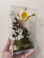 Acrylic Jumping Spider Enclosure 4.7x4.7x8 Arboreal Reptile Habitat Kit, New USA